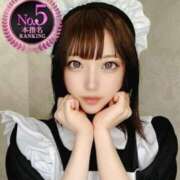 ヒメ日記 2025/04/01 12:38 投稿 ねこ【品性溢れるドM美女】 STELLA TOKYO－ステラトウキョウ－