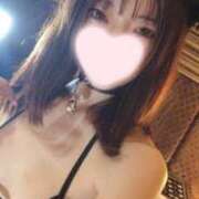 ヒメ日記 2025/04/02 06:32 投稿 ねこ【品性溢れるドM美女】 STELLA TOKYO－ステラトウキョウ－