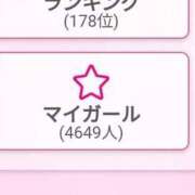 ヒメ日記 2025/04/05 17:04 投稿 ねこ【品性溢れるドM美女】 STELLA TOKYO－ステラトウキョウ－