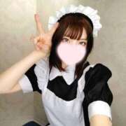 ヒメ日記 2025/04/11 20:05 投稿 ねこ【品性溢れるドM美女】 STELLA TOKYO－ステラトウキョウ－