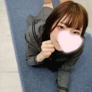 ヒメ日記 2025/04/13 19:52 投稿 ねこ【品性溢れるドM美女】 STELLA TOKYO－ステラトウキョウ－