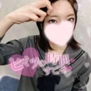 ヒメ日記 2025/04/15 00:58 投稿 ねこ【品性溢れるドM美女】 STELLA TOKYO－ステラトウキョウ－