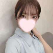 ヒメ日記 2025/04/15 17:41 投稿 ねこ【品性溢れるドM美女】 STELLA TOKYO－ステラトウキョウ－