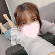 ヒメ日記 2025/04/17 20:33 投稿 ねこ【品性溢れるドM美女】 STELLA TOKYO－ステラトウキョウ－