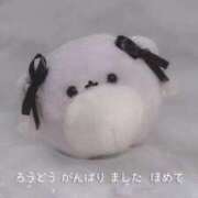 ヒメ日記 2025/04/20 03:54 投稿 ねこ【品性溢れるドM美女】 STELLA TOKYO－ステラトウキョウ－