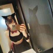 ヒメ日記 2025/04/20 23:13 投稿 ねこ【品性溢れるドM美女】 STELLA TOKYO－ステラトウキョウ－