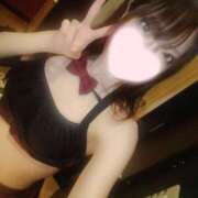 ヒメ日記 2025/04/23 14:45 投稿 ねこ【品性溢れるドM美女】 STELLA TOKYO－ステラトウキョウ－