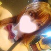 ヒメ日記 2025/04/25 01:00 投稿 ねこ【品性溢れるドM美女】 STELLA TOKYO－ステラトウキョウ－