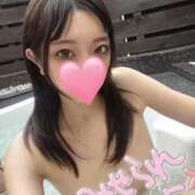 ヒメ日記 2025/04/26 04:51 投稿 ねこ【品性溢れるドM美女】 STELLA TOKYO－ステラトウキョウ－