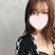 ヒメ日記 2025/04/27 04:13 投稿 ねこ【品性溢れるドM美女】 STELLA TOKYO－ステラトウキョウ－