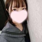 ヒメ日記 2025/04/27 18:49 投稿 ねこ【品性溢れるドM美女】 STELLA TOKYO－ステラトウキョウ－