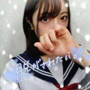 ヒメ日記 2025/04/27 20:48 投稿 ねこ【品性溢れるドM美女】 STELLA TOKYO－ステラトウキョウ－