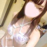 ヒメ日記 2025/04/29 20:59 投稿 ねこ【品性溢れるドM美女】 STELLA TOKYO－ステラトウキョウ－