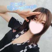 ヒメ日記 2025/04/30 04:05 投稿 ねこ【品性溢れるドM美女】 STELLA TOKYO－ステラトウキョウ－