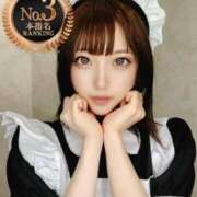 ヒメ日記 2025/05/01 10:49 投稿 ねこ【品性溢れるドM美女】 STELLA TOKYO－ステラトウキョウ－