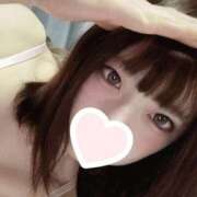 ヒメ日記 2025/05/02 03:01 投稿 ねこ【品性溢れるドM美女】 STELLA TOKYO－ステラトウキョウ－