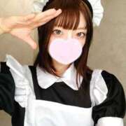 ヒメ日記 2025/05/02 17:06 投稿 ねこ【品性溢れるドM美女】 STELLA TOKYO－ステラトウキョウ－