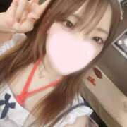 ヒメ日記 2025/05/04 15:08 投稿 ねこ【品性溢れるドM美女】 STELLA TOKYO－ステラトウキョウ－