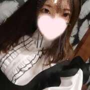 ヒメ日記 2025/05/04 20:55 投稿 ねこ【品性溢れるドM美女】 STELLA TOKYO－ステラトウキョウ－