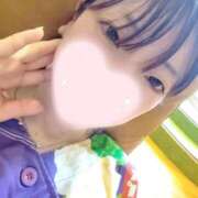 ヒメ日記 2025/05/07 19:34 投稿 ねこ【品性溢れるドM美女】 STELLA TOKYO－ステラトウキョウ－