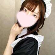 ヒメ日記 2025/05/10 03:15 投稿 ねこ【品性溢れるドM美女】 STELLA TOKYO－ステラトウキョウ－