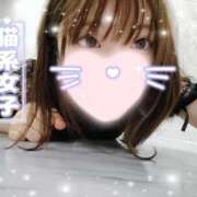 ヒメ日記 2025/05/10 16:03 投稿 ねこ【品性溢れるドM美女】 STELLA TOKYO－ステラトウキョウ－