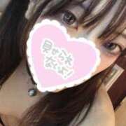 ヒメ日記 2025/05/10 20:57 投稿 ねこ【品性溢れるドM美女】 STELLA TOKYO－ステラトウキョウ－