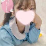 ヒメ日記 2025/05/12 03:04 投稿 ねこ【品性溢れるドM美女】 STELLA TOKYO－ステラトウキョウ－