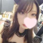 ヒメ日記 2025/05/14 19:32 投稿 ねこ【品性溢れるドM美女】 STELLA TOKYO－ステラトウキョウ－