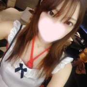 ヒメ日記 2025/05/20 17:11 投稿 ねこ【品性溢れるドM美女】 STELLA TOKYO－ステラトウキョウ－