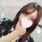 ヒメ日記 2025/05/23 19:35 投稿 ねこ【品性溢れるドM美女】 STELLA TOKYO－ステラトウキョウ－