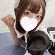 ヒメ日記 2025/05/24 19:40 投稿 ねこ【品性溢れるドM美女】 STELLA TOKYO－ステラトウキョウ－