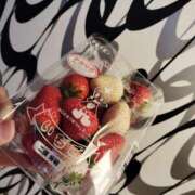 ヒメ日記 2025/05/24 23:20 投稿 ねこ【品性溢れるドM美女】 STELLA TOKYO－ステラトウキョウ－