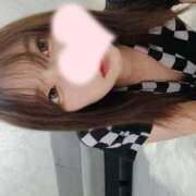 ヒメ日記 2025/05/26 14:03 投稿 ねこ【品性溢れるドM美女】 STELLA TOKYO－ステラトウキョウ－