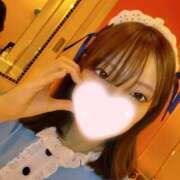 ヒメ日記 2025/05/26 17:08 投稿 ねこ【品性溢れるドM美女】 STELLA TOKYO－ステラトウキョウ－