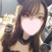 ヒメ日記 2025/05/29 16:24 投稿 ねこ【品性溢れるドM美女】 STELLA TOKYO－ステラトウキョウ－