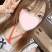 ヒメ日記 2025/06/09 11:51 投稿 ねこ【品性溢れるドM美女】 STELLA TOKYO－ステラトウキョウ－