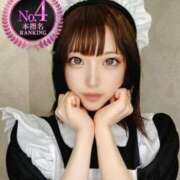 ヒメ日記 2025/06/10 17:23 投稿 ねこ【品性溢れるドM美女】 STELLA TOKYO－ステラトウキョウ－