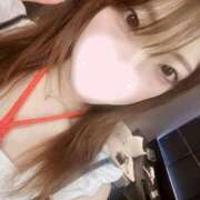 ヒメ日記 2025/06/11 11:47 投稿 ねこ【品性溢れるドM美女】 STELLA TOKYO－ステラトウキョウ－