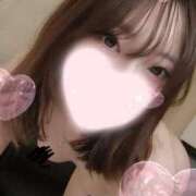 ヒメ日記 2025/06/13 02:11 投稿 ねこ【品性溢れるドM美女】 STELLA TOKYO－ステラトウキョウ－