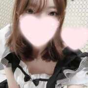 ヒメ日記 2025/06/13 15:06 投稿 ねこ【品性溢れるドM美女】 STELLA TOKYO－ステラトウキョウ－