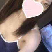 ヒメ日記 2025/06/18 17:02 投稿 ねこ【品性溢れるドM美女】 STELLA TOKYO－ステラトウキョウ－