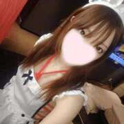 ヒメ日記 2025/06/23 12:11 投稿 ねこ【品性溢れるドM美女】 STELLA TOKYO－ステラトウキョウ－