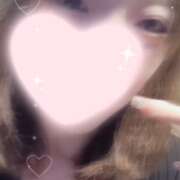 ヒメ日記 2025/07/03 15:07 投稿 ねこ【品性溢れるドM美女】 STELLA TOKYO－ステラトウキョウ－