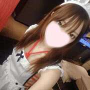 ヒメ日記 2025/07/10 02:05 投稿 ねこ【品性溢れるドM美女】 STELLA TOKYO－ステラトウキョウ－