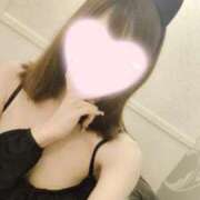 ヒメ日記 2025/07/24 02:25 投稿 ねこ【品性溢れるドM美女】 STELLA TOKYO－ステラトウキョウ－