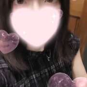 ヒメ日記 2025/07/29 01:32 投稿 ねこ【品性溢れるドM美女】 STELLA TOKYO-ステラトウキョウ-