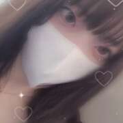 ヒメ日記 2025/07/29 12:08 投稿 ねこ【品性溢れるドM美女】 STELLA TOKYO-ステラトウキョウ-