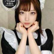 ヒメ日記 2025/08/01 13:03 投稿 ねこ【品性溢れるドM美女】 STELLA TOKYO－ステラトウキョウ－