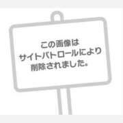 ヒメ日記 2025/08/05 15:07 投稿 ねこ【品性溢れるドM美女】 STELLA TOKYO－ステラトウキョウ－